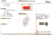 7.86/CT Natural Red Coral With Govt. Lab Certificate
